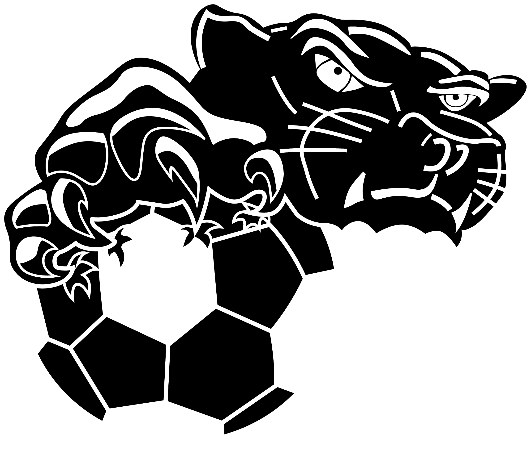 Ballarat North United Soccer Club